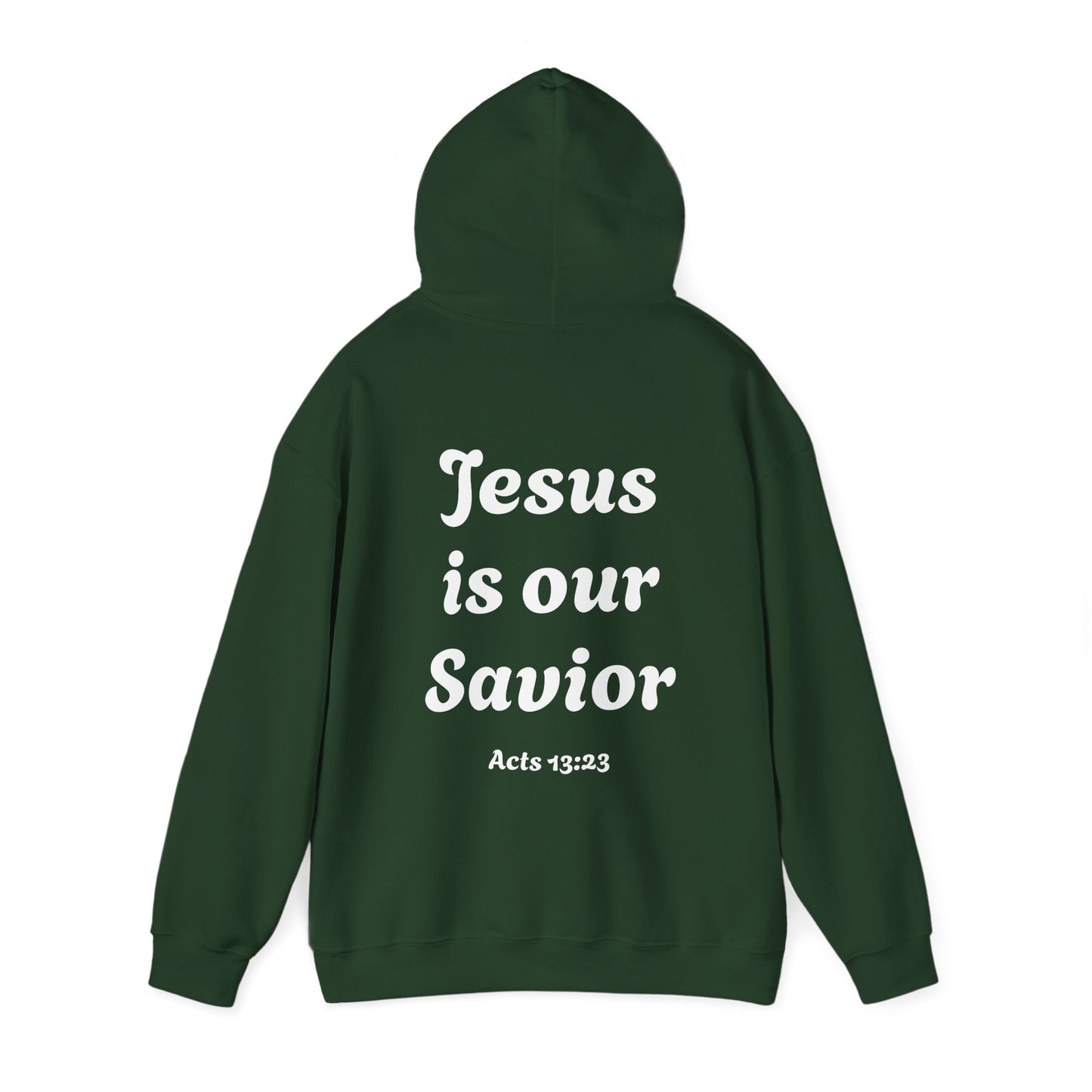 Jesus is our savior hoodie
