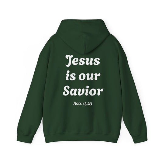 Jesus is our savior hoodie